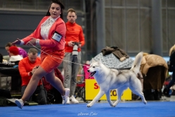 Sindi CACIB Brno 24.01.2026